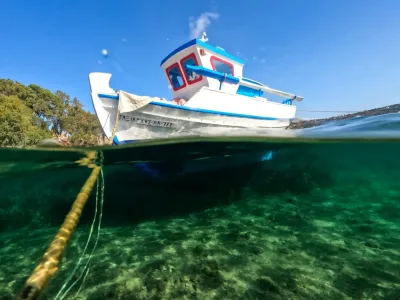 Barca a Fondo di Vetro — Osservate le Tartarughe Senza Bagnarvi